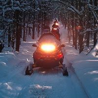 Snowmobiling in the trees