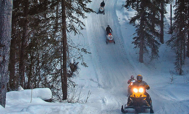 Alberta snowmobilers descend a forested trail