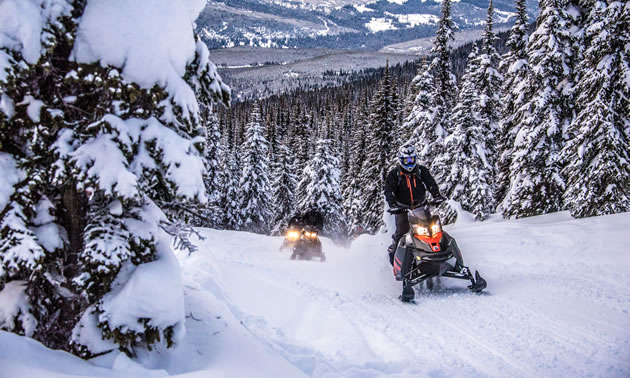 Snowmobilers trail riding up Yanks Peak.
