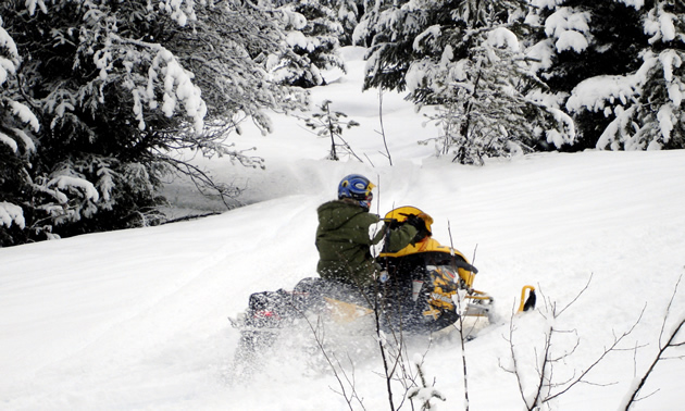 A man rides on a yellow snowmobile as it travels through deep power against a background of forest.