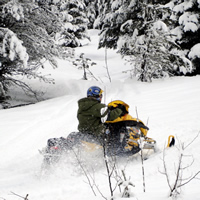 A man rides on a yellow snowmobile as it travels through deep power against a background of forest.