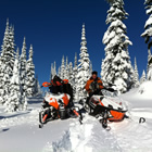two snowmobiles in a snowy, treed area