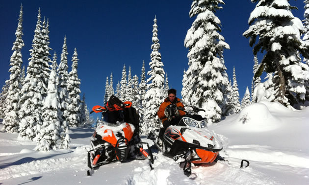 two snowmobiles in a snowy, treed area