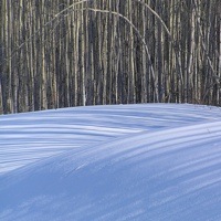 The pristine conditions at Hudson's Hope. 