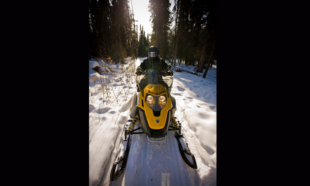 a solo snowmobiler on a forested trail
