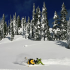 a snowmobiler is turning his sled on a large snowy area with trees behind