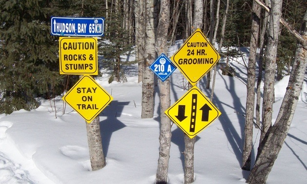 Numerous signs posted on a trail.