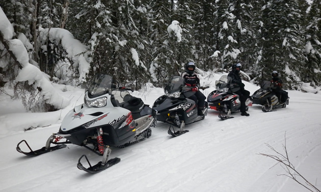 a row of snowmobilers in the forest