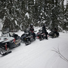 a row of snowmobilers in the forest