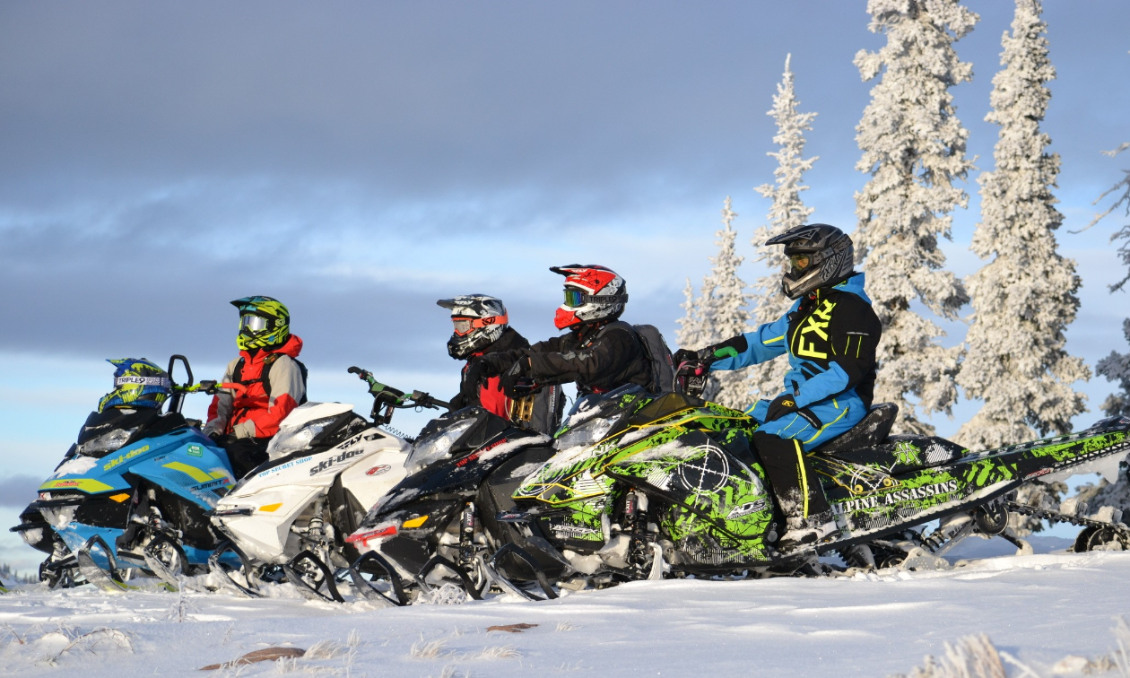 Four snowmobilers line up beside each other and look out into the distance. 