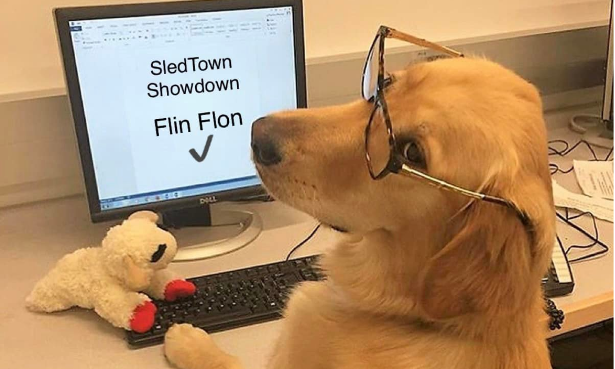 A golden labrador sits by a computer with glasses on. The computer says SledTown ShowDown Flin Flon. 