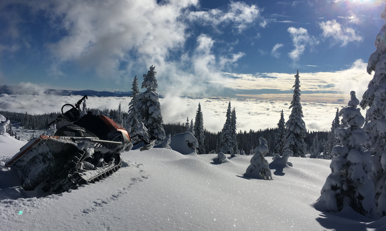 A snowmobile shines in the sunlight on a hill.