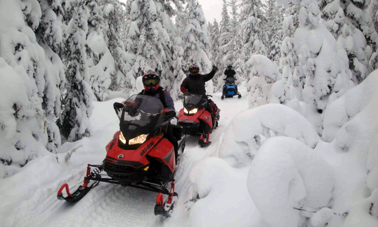 Three snowmobilers ride a tight trail through snow-covered trees. 