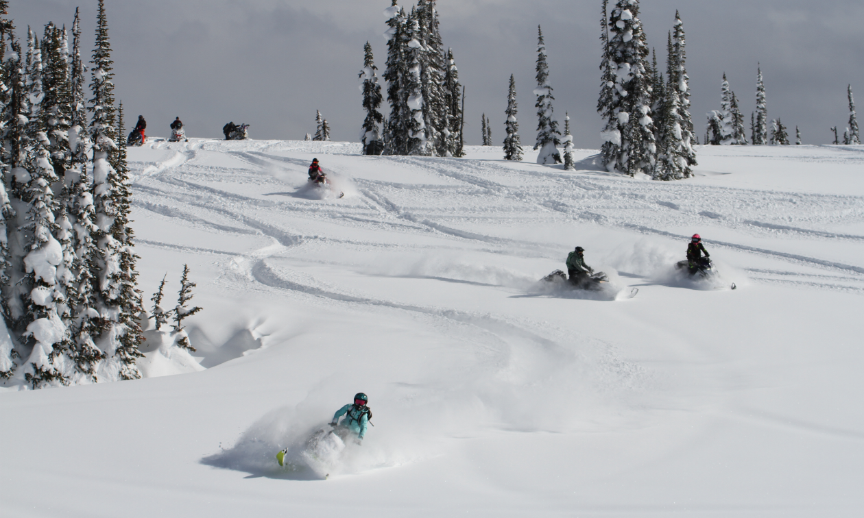 A group of snowmobilers zig-zag down a mountain in Valemount
