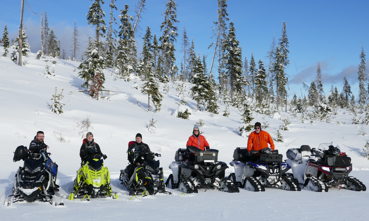 A lineup of snowmobiles and ATVs with tracks in a snowy glade. 