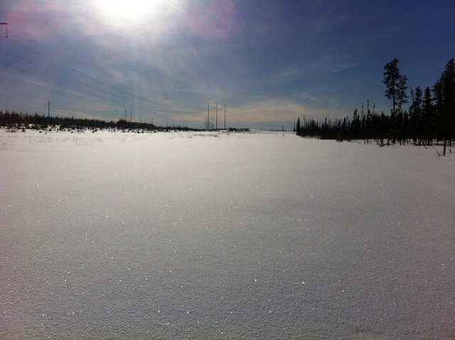 An open powder meadow with a blue sky shining above. 