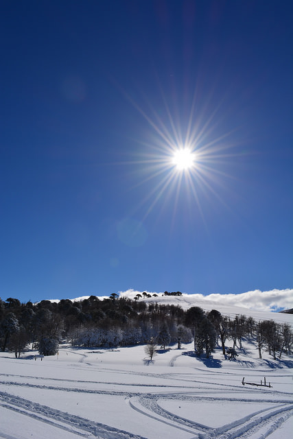 Sledding tracks on a hill on a perfect bluebird day in the Andes Mountains. 