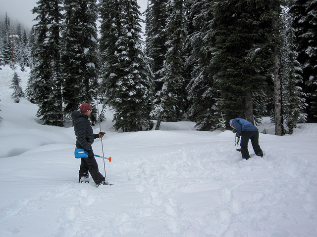 David Lussier standing ready with a probe and shovel during day one transceiver practice.