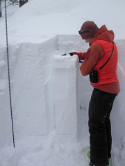 David Lussier performing a snowpack compression test to identify weak layers.