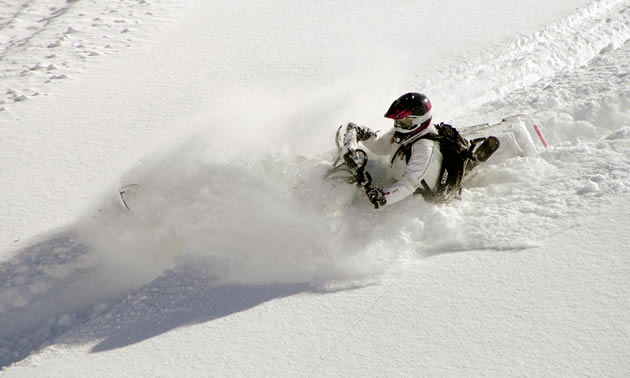 Megan Render slashes through the powder. 