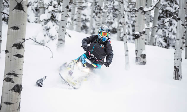 Stephanie weaving her Ski-Doo through birch trees. 