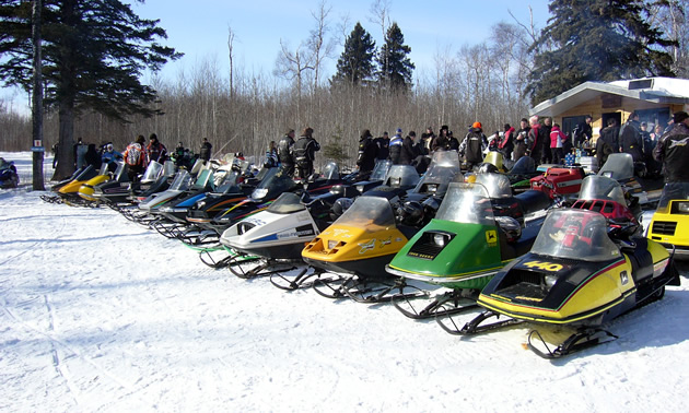 Vintage sleds lined up. 