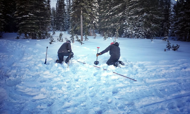 Two people doing an avalanche search. 