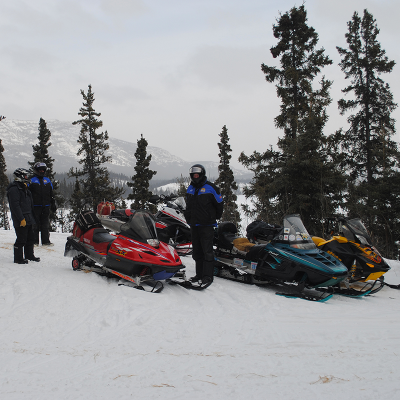 A group of snowmobilers stand next to their rides amidst a collection of trees.