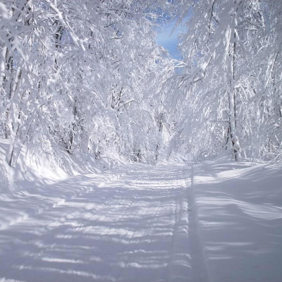 The Thunder & Ice Snowmobile Club's trails have unmatched beauty. 