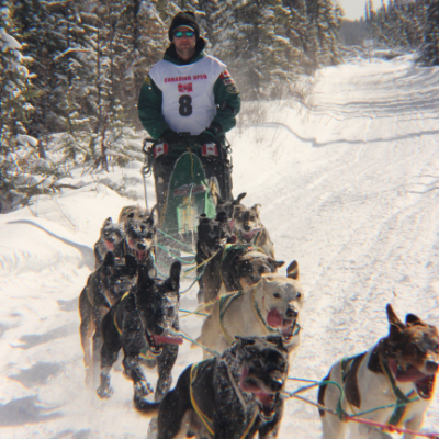 Bud Streeper races dog sleds across a snwomobile trail.