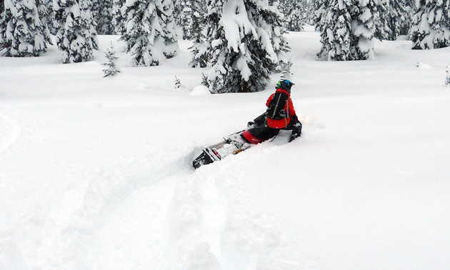 Kirsten Armleder sidehills downhill through the powder. 