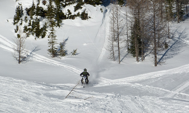 A man riding down a hill on a Timbersled snow bike.