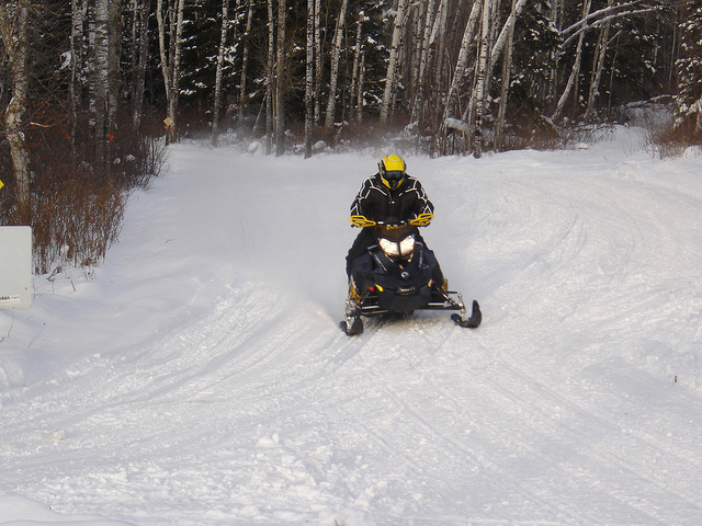 A sledder coming out of the forest on a trail in Whiteshell Provinicial Park,MB