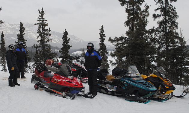A group of snowmobilers stand next to their rides amidst a collection of trees.