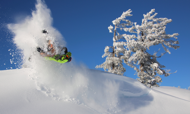 A green snowmobiler gets air off of a jump at the top of a mountain next to a snow covered tree.