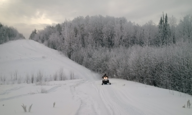 Smeaton, Saskatchewan, is a winter wonderland.