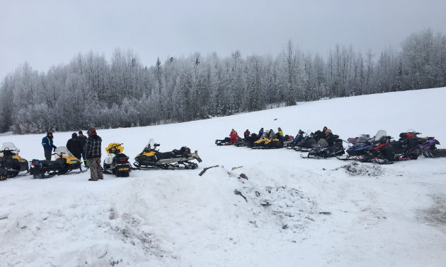 A row of snowmobiles in the snow in front of some trees.