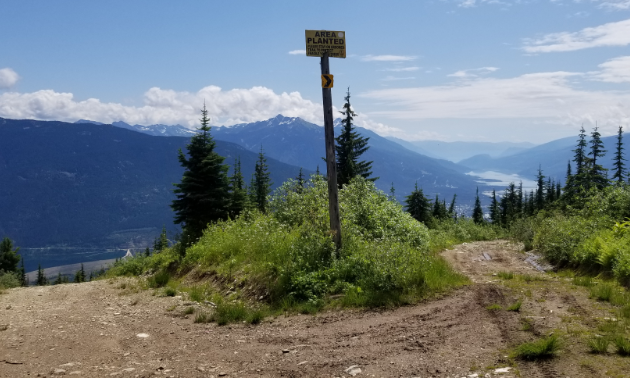 A photo of the top of Frisby on a blue-sky summer day.