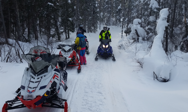 Snowmobilers take a break amidst a narrow trail lined with snow-covered trees.