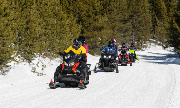 A row of four snowmobiles drive towards the camera. 