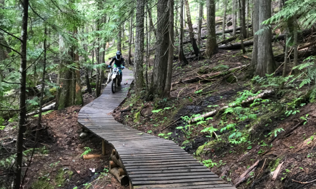 A dirt biker rides across a wooden trail in the woods.