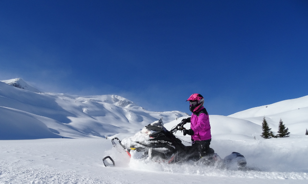 A pink snowmobiler rides a black snowmobile through rolling hills of white snow. 