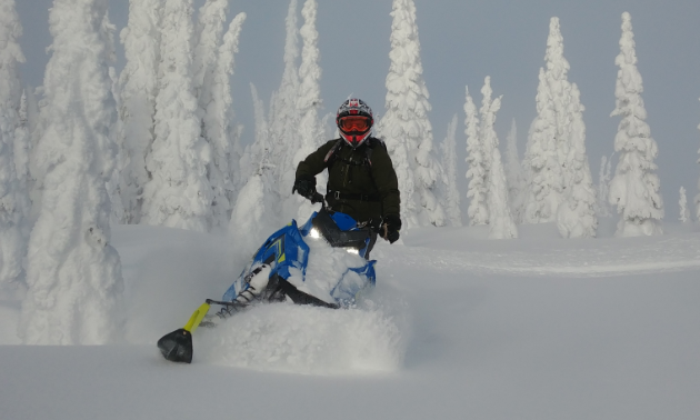 A snowmobiler carves through fresh powder amidst snow-covered trees. 