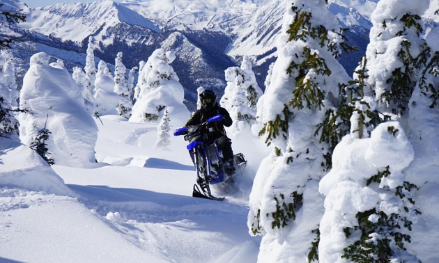 Backcountry snow biking in Valemount B.C.