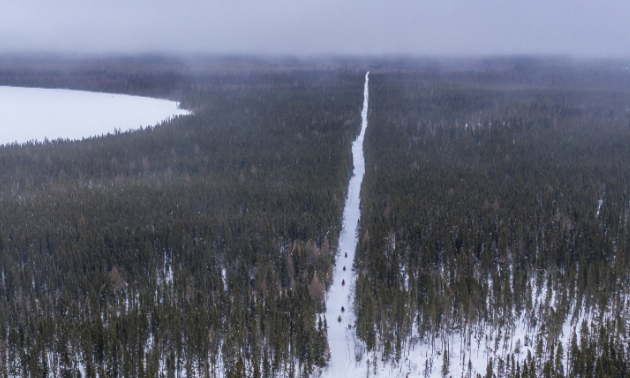 A long snowmobile trail stretches through woods.