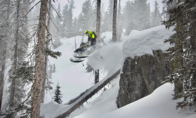 A snowmobiler rides off a cliff in a technical treed area. 