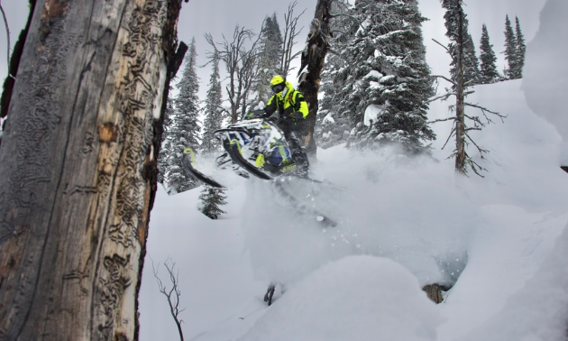 A snowmobiler jumps through trees.