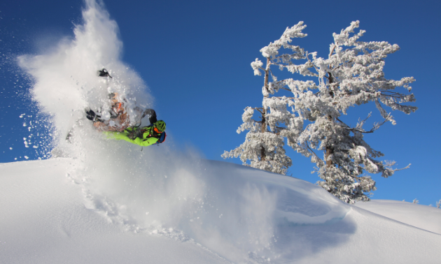A green snowmobiler gets air off of a jump at the top of a mountain next to a snow covered tree. 
