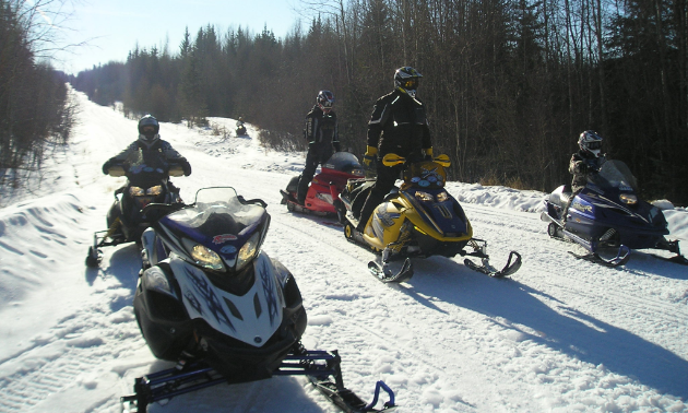 Snowmobilers sit on their sleds on a trail in Westlock, Alberta. 