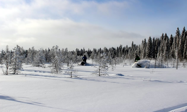 A lightly wooded area filled with deep powder being ridden on by a snowmobile.